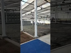 دفيئة ورقية