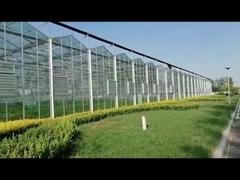 الدفيئة الزجاجية الزراعية