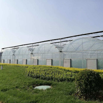 Multi-Span Greenhouse Kits Plastic Film Hydroponics Greenhouse For Sale