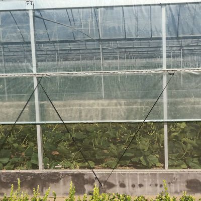 Multi-Span Greenhouse Kits Plastic Film Hydroponics Greenhouse For Sale