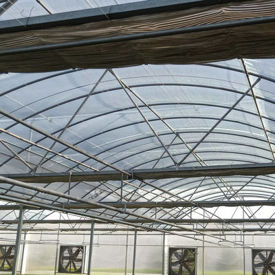 Multi-Span Greenhouse Kits Plastic Film Hydroponics Greenhouse For Sale